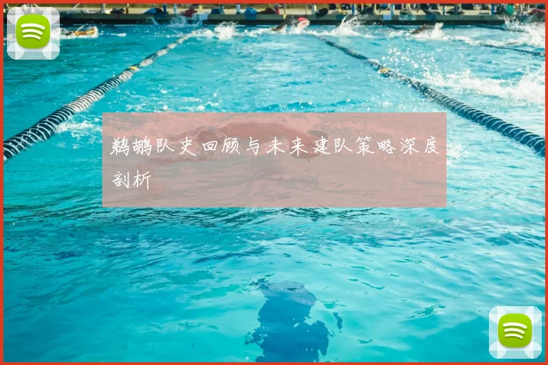 鹈鹕队史回顾与未来建队策略深度剖析
